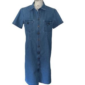 CHARTER CLUB straight blue Jean dress 10